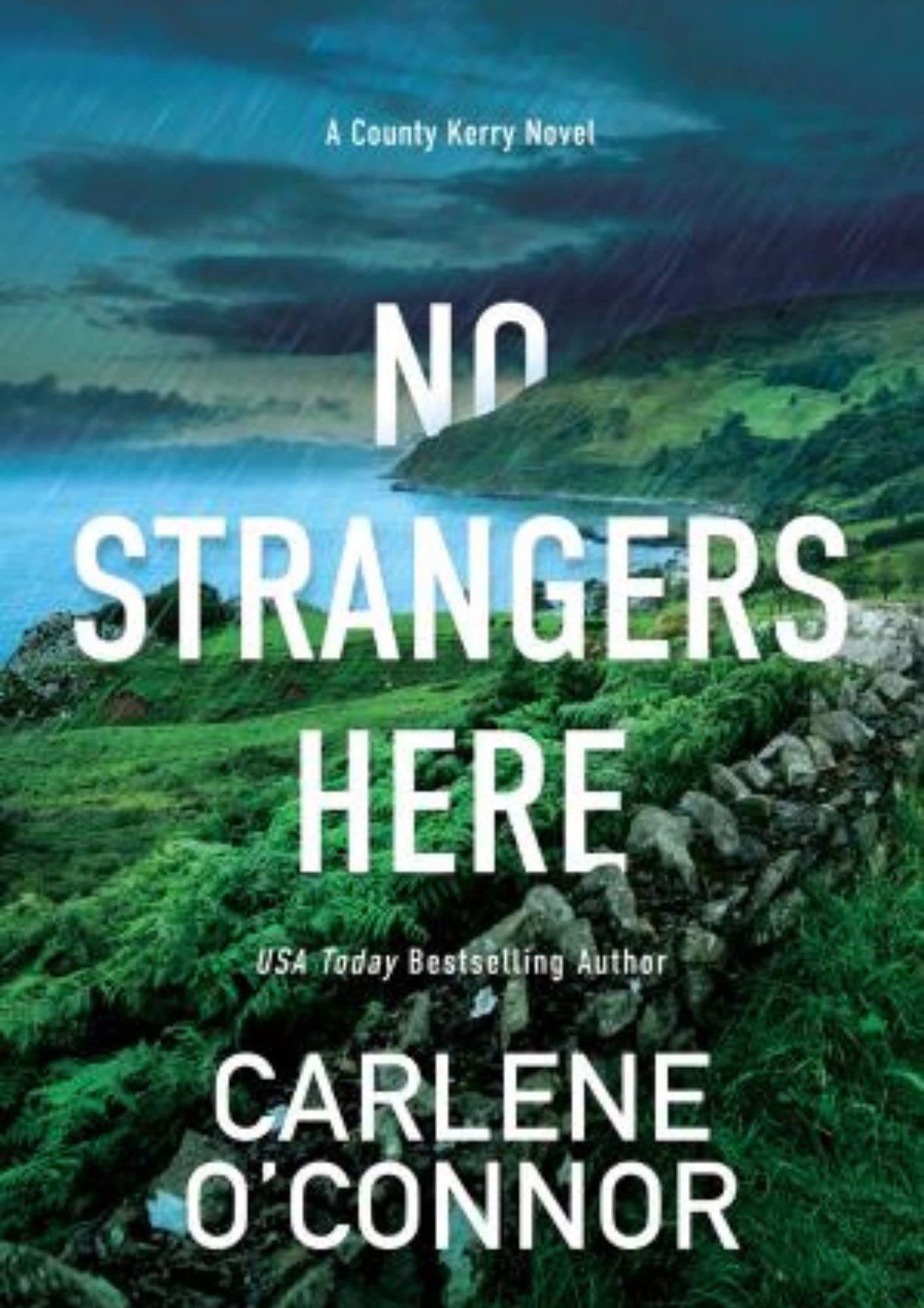 No Strangers Here: A Riveting Dark Irish Mystery