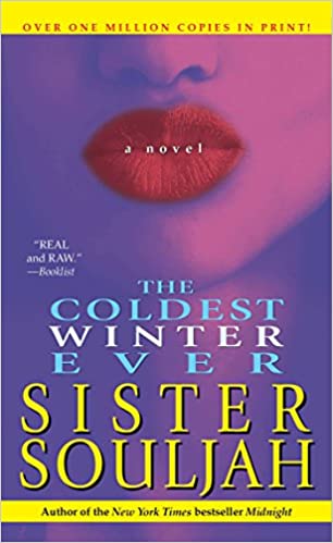 The Coldest Winter Ever: A Novel