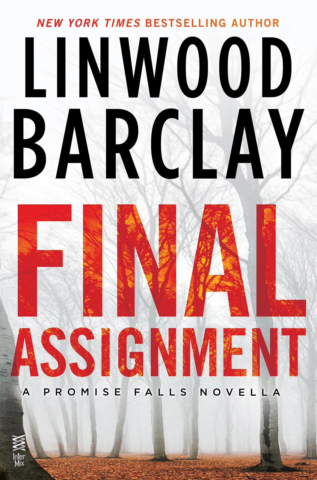 Final Assignment: A Promise Falls Novella
