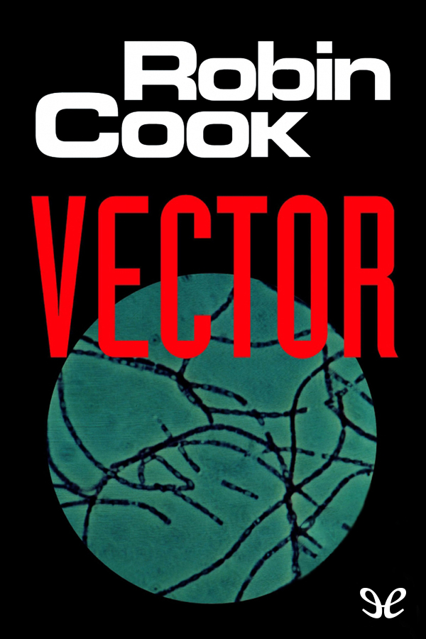 Vektör