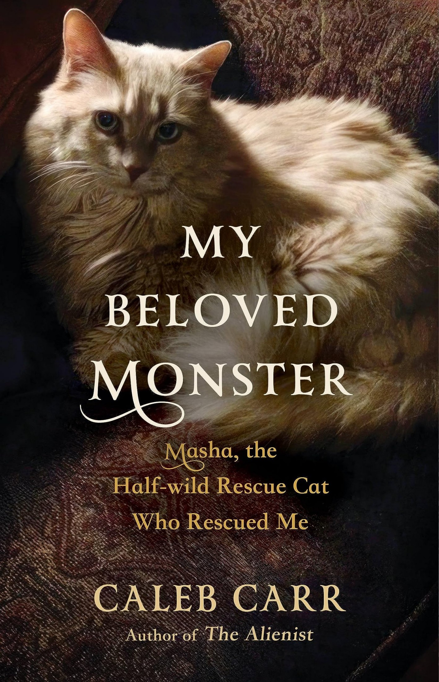 My Beloved Monster
