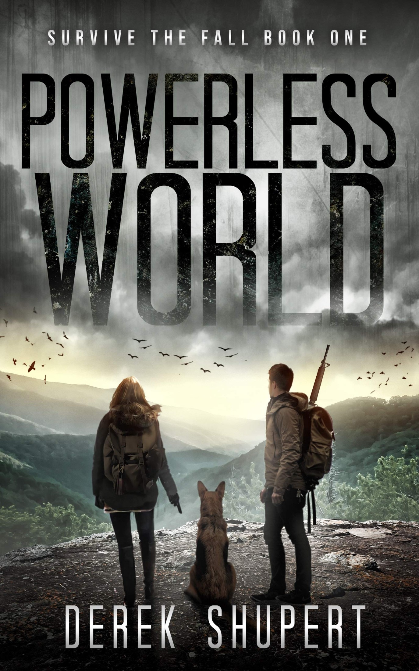 Powerless World