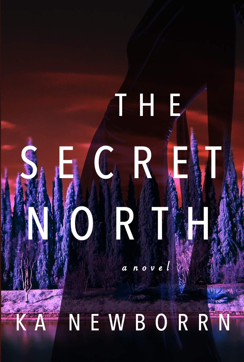 The Secret North
