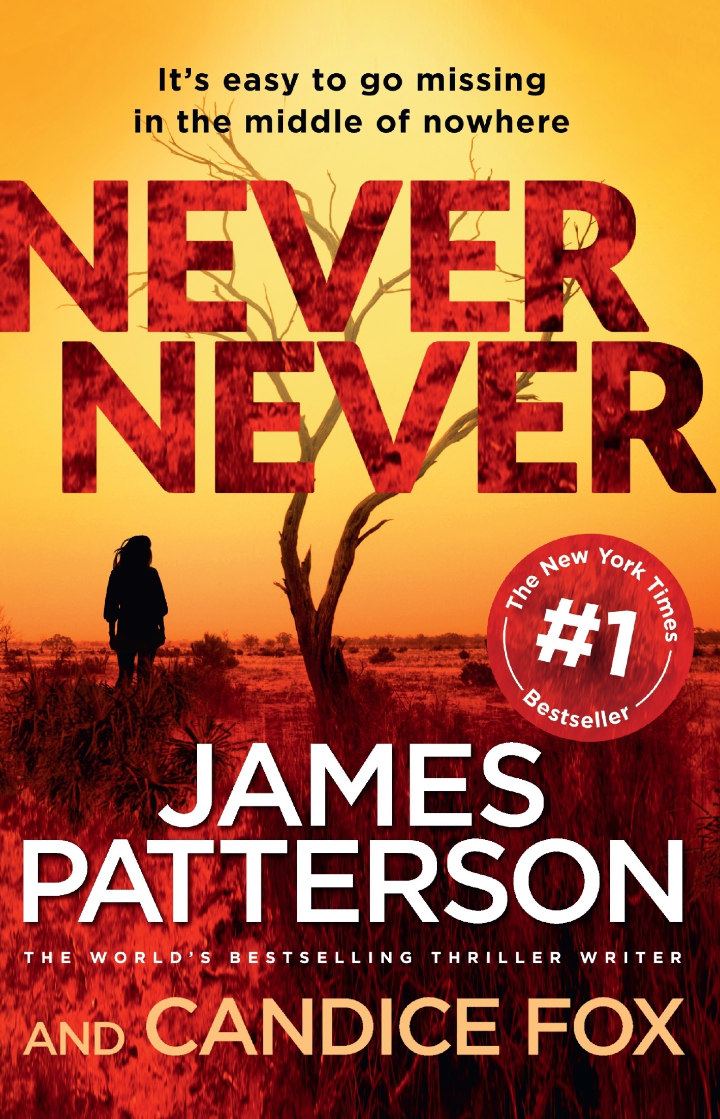 Never Never: